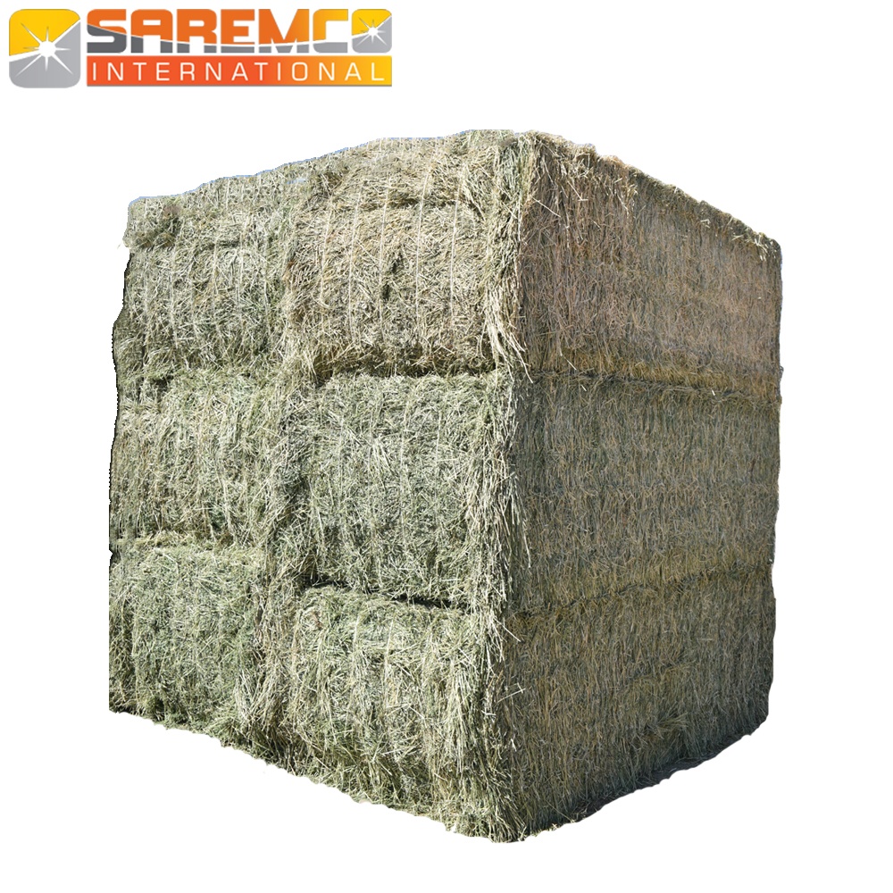 Premium Rhodes Grass hay small and big bales best A grade quality Export From Pakistan and Indian Subcontinent Region