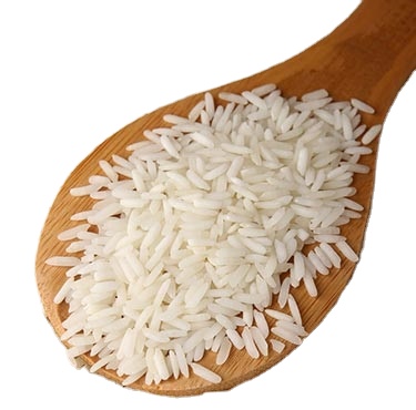 Sharbati White rice in punjab