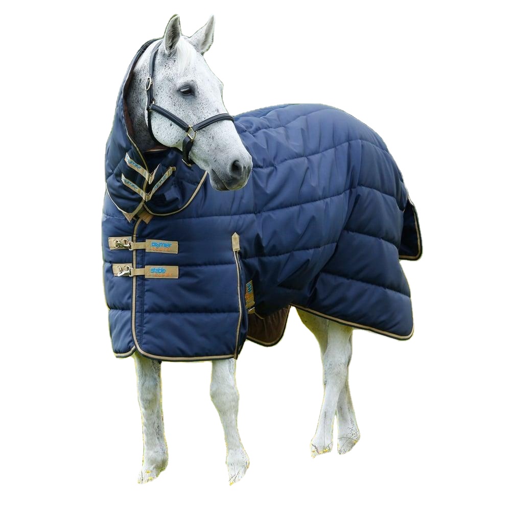 Nylon Polyester Canvas Wearproof Turquoise Quilted Rug Windproof Warm Stable Products Heavy Weight Winter Horse Rug