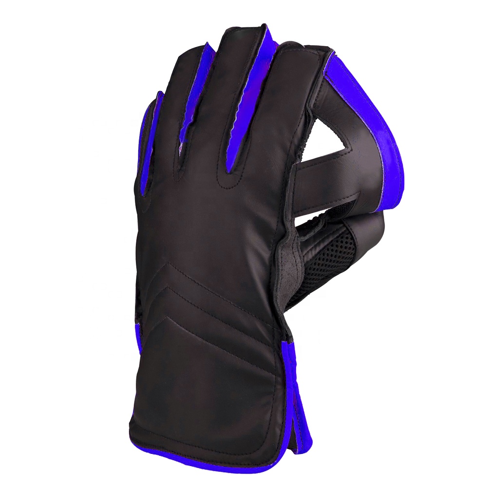Top range cricket gloves premium best wicket keeping gloves