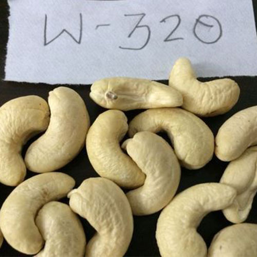 High Quality Cashew Nuts Cashew all types W180 - W240 - W320 - W450 no shell cashew nuts as snacks