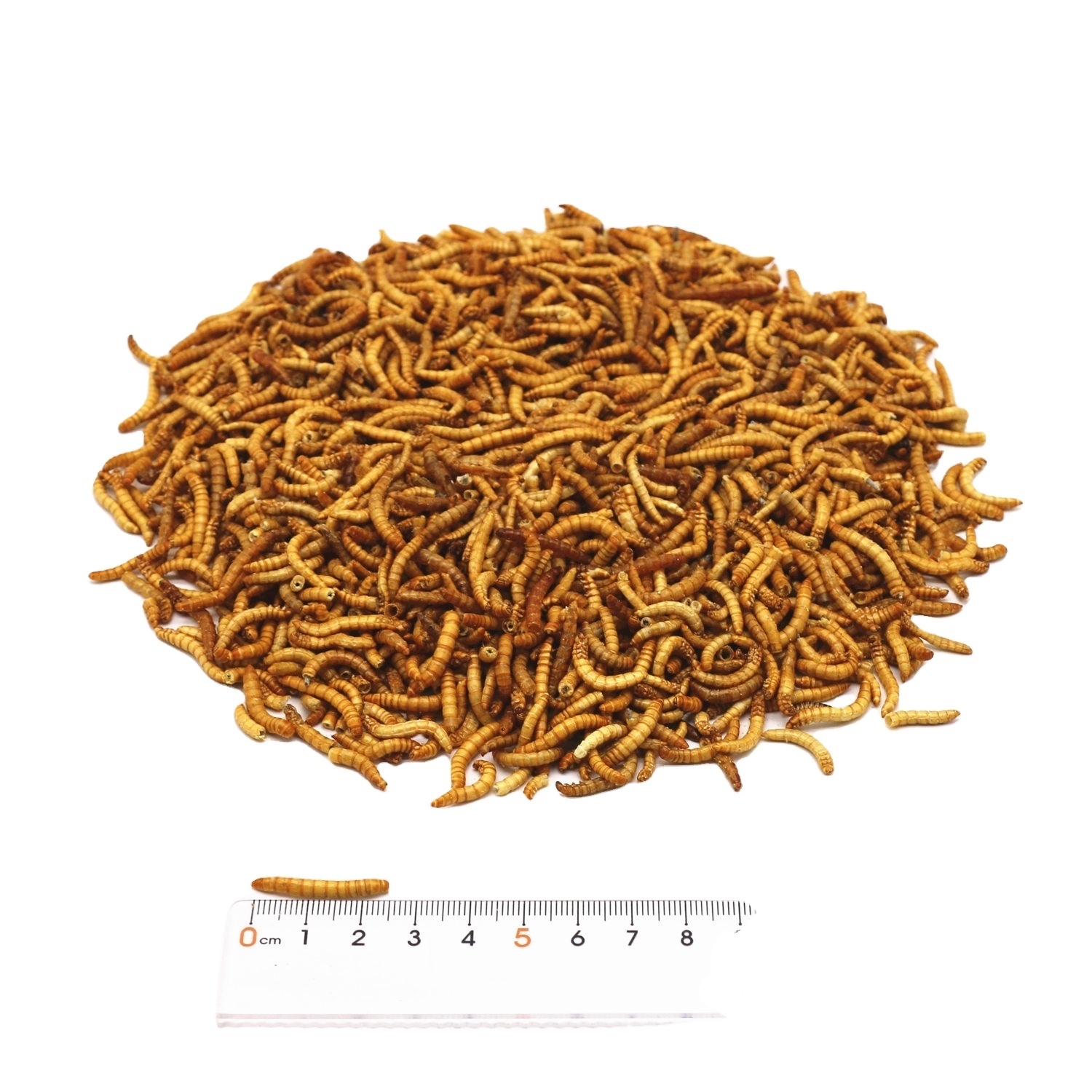 Fully stocked good quality fish bird snack food microwave dried mealworms