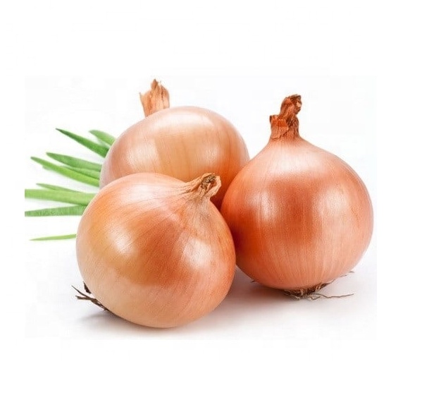 100% Natural Orion Yellow Onion from Vietnam High Quality