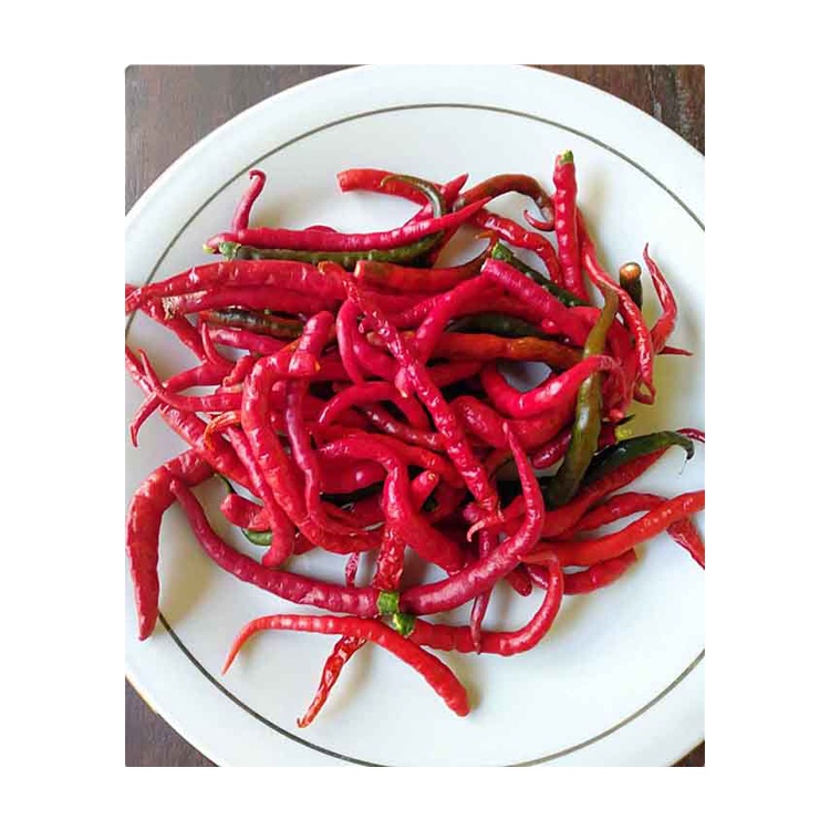 Worldwide Exporter of Top Selling Spicy Red Hot Chili at Wholesale Price