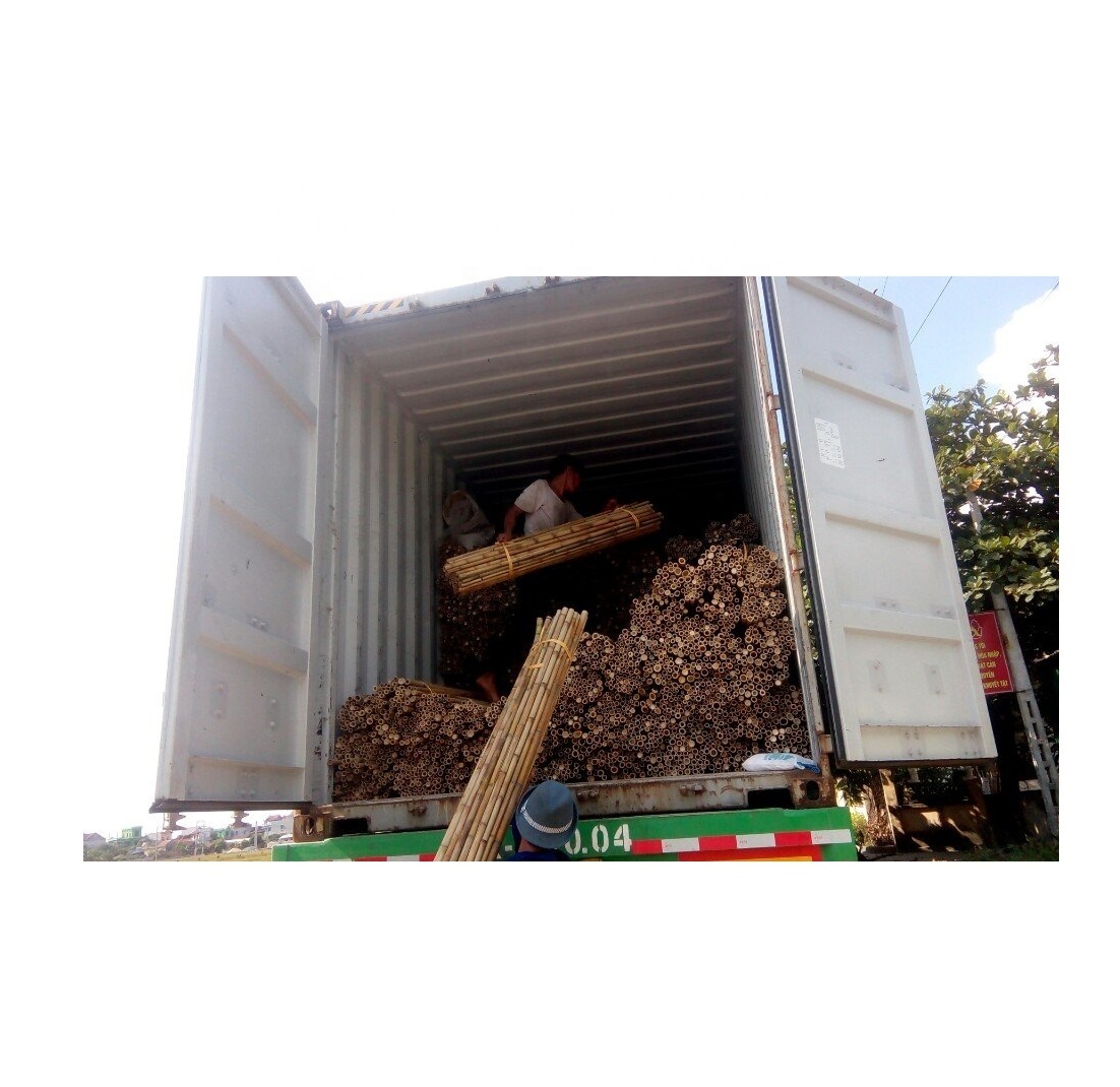 Custom Size Agricultural Bamboo Raw Material from Vietnam Manufacturer for Decoration Branches/Treated Natural Bamboo Poles