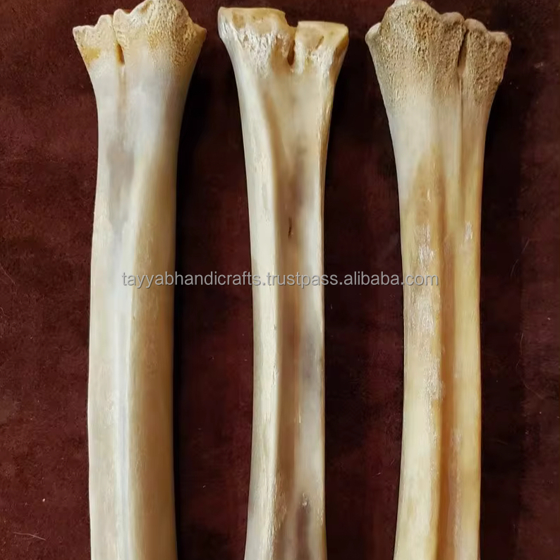 Compressed Beefhide Sticks Rawhide Pressed Bone Sticks Rawhide Dog Chew Bone Agate Direct Factory Supply From India