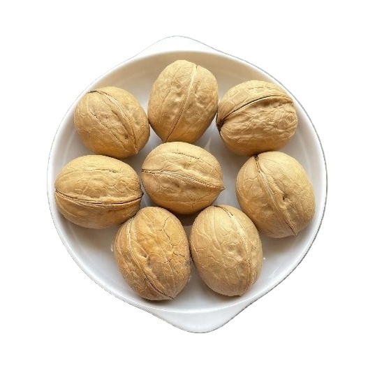 wholesale Paper Shell top quality Xinjiang 185 walnut