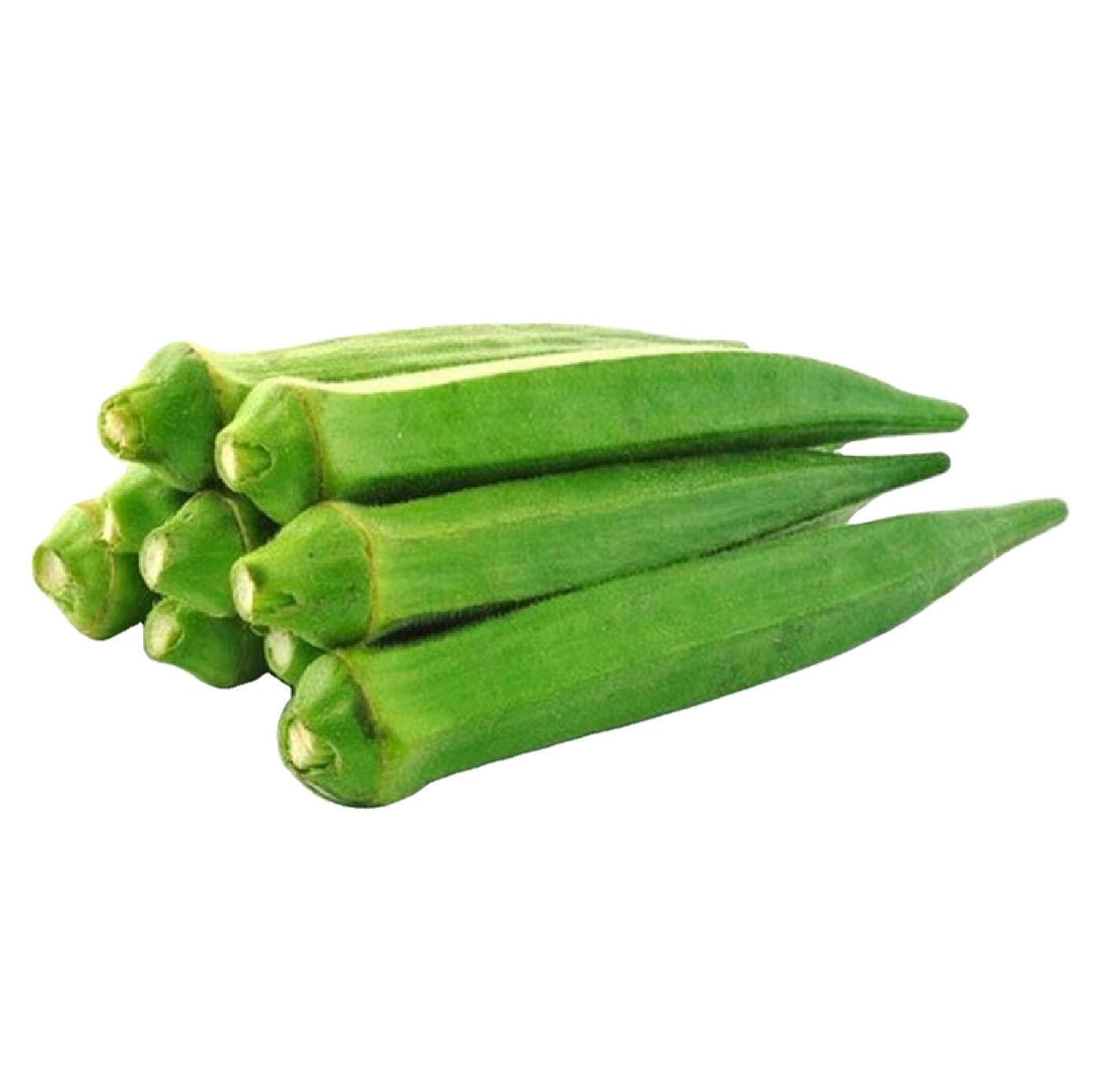 Дешево, Лидер продаж, качественный свежий Okra, свежий Дамский Okra, органический свежий Okra, Лучшая цена