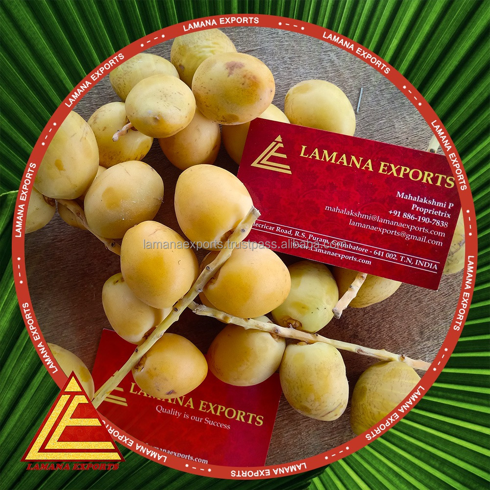 Premium Quality Exotic Barhi Dates / Palm Dates / Yellow Date Fruit