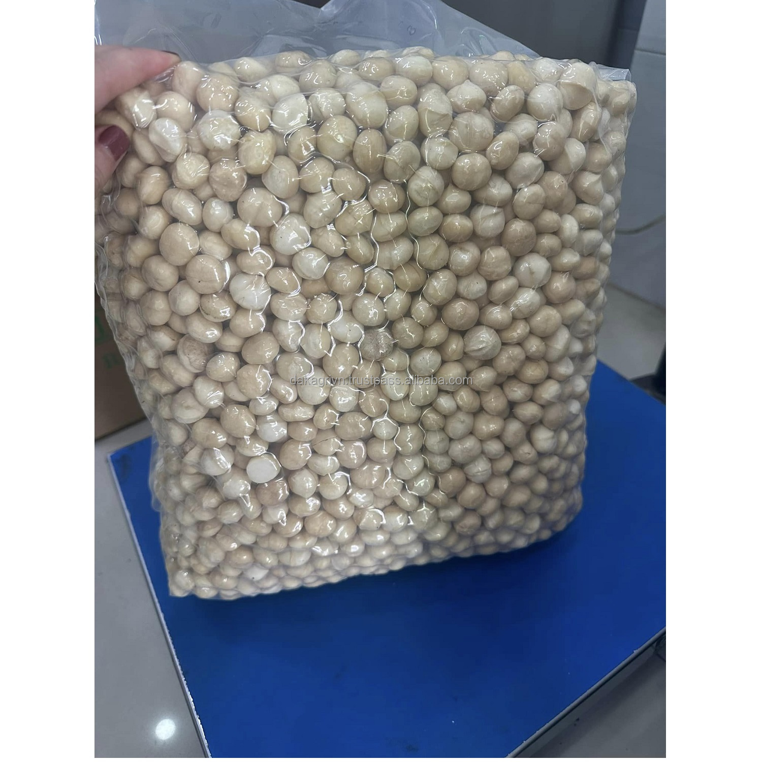 High Quality New Product Grade A OEM Common Food Dried Vietnam Dried Macadamia Nuts Store In Dry Place