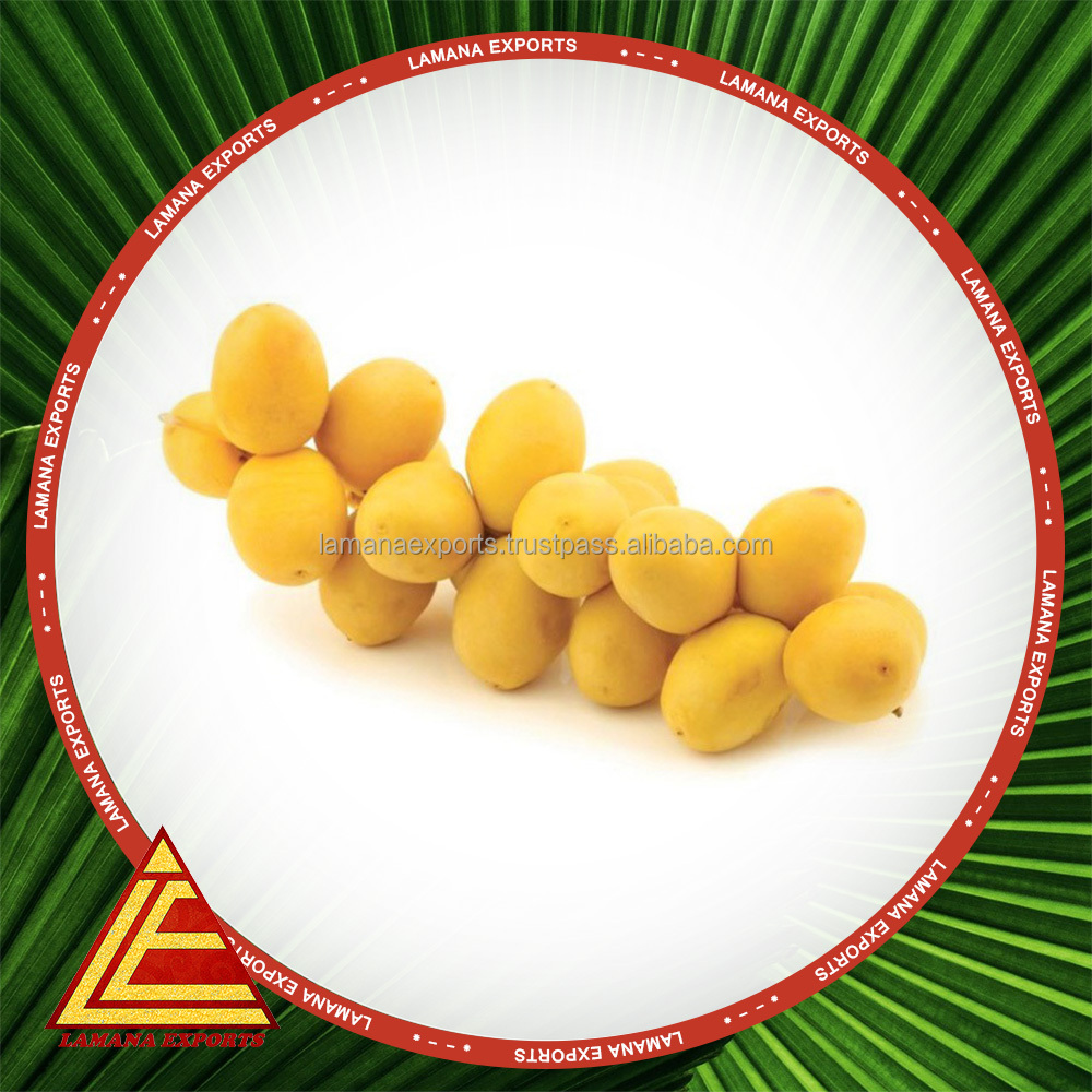 Natural Barhee Dates / Palm Dates / Date Fruit