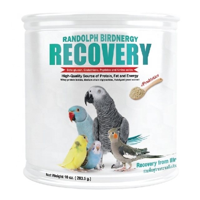 Randolph Birdnergy Recovery Wild Bird Food, Increasing Energy & Health Recovery for Sick Or Injured Parrot.