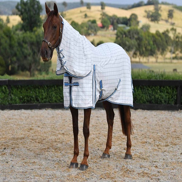 Best for horse rug cotton horse hood rugs detachable neck cover manufacturers INDIA