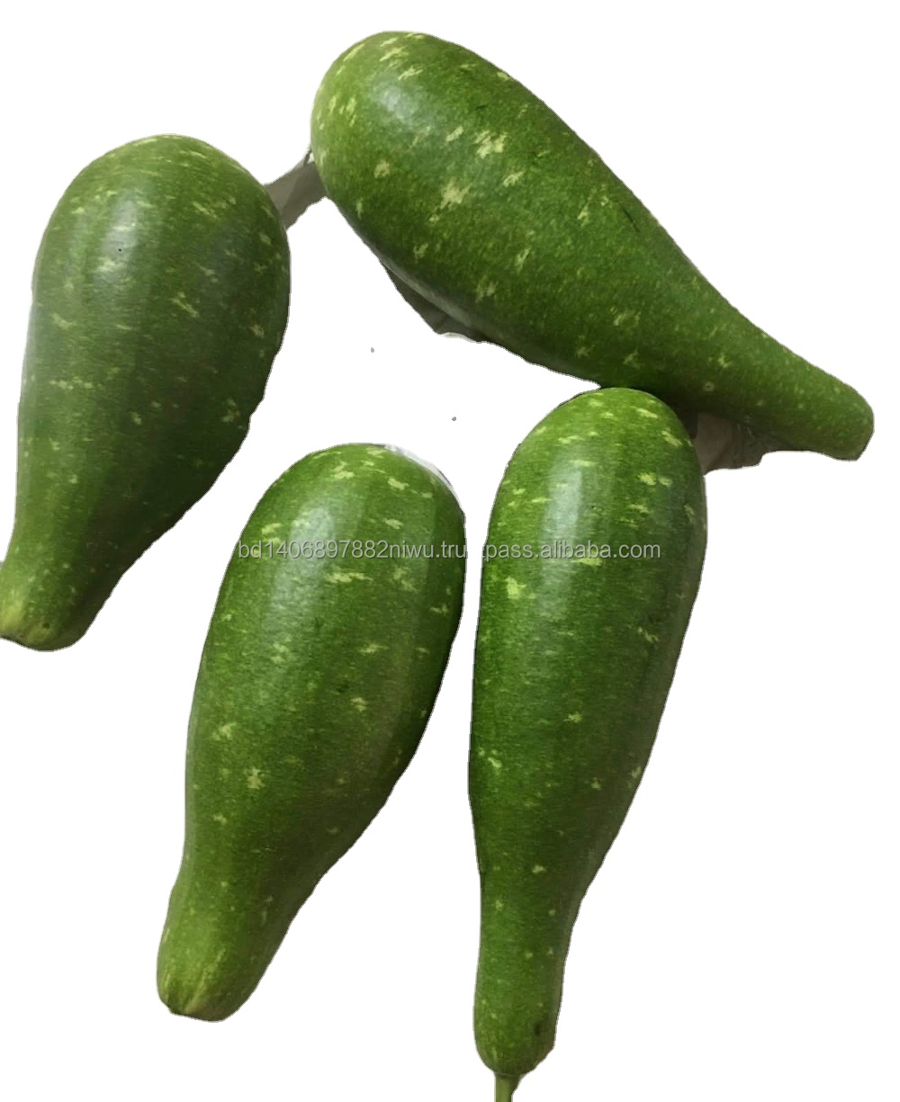 top quality bottle gourd seeds