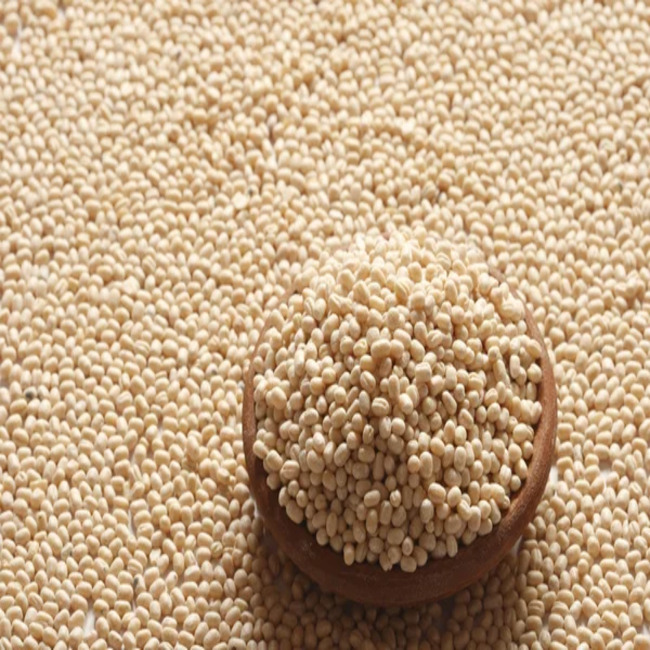 Высокое качество, россыпью, высушенный Сплит Urad Dal, черно-белый Urad dal, по низкой цене от производителя из Индии, линза