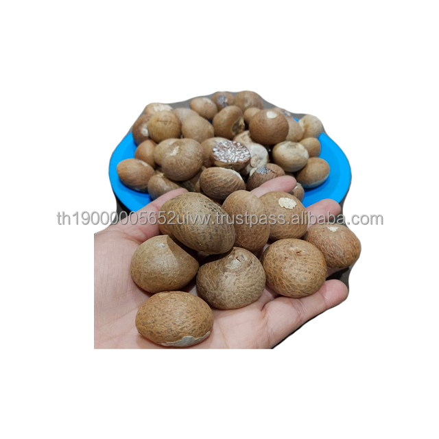Высококачественные полностью высушенные орехи Betel/орехи Areca для оптовой продажи