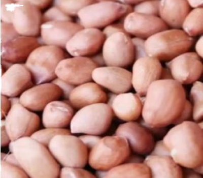Quality Peanut