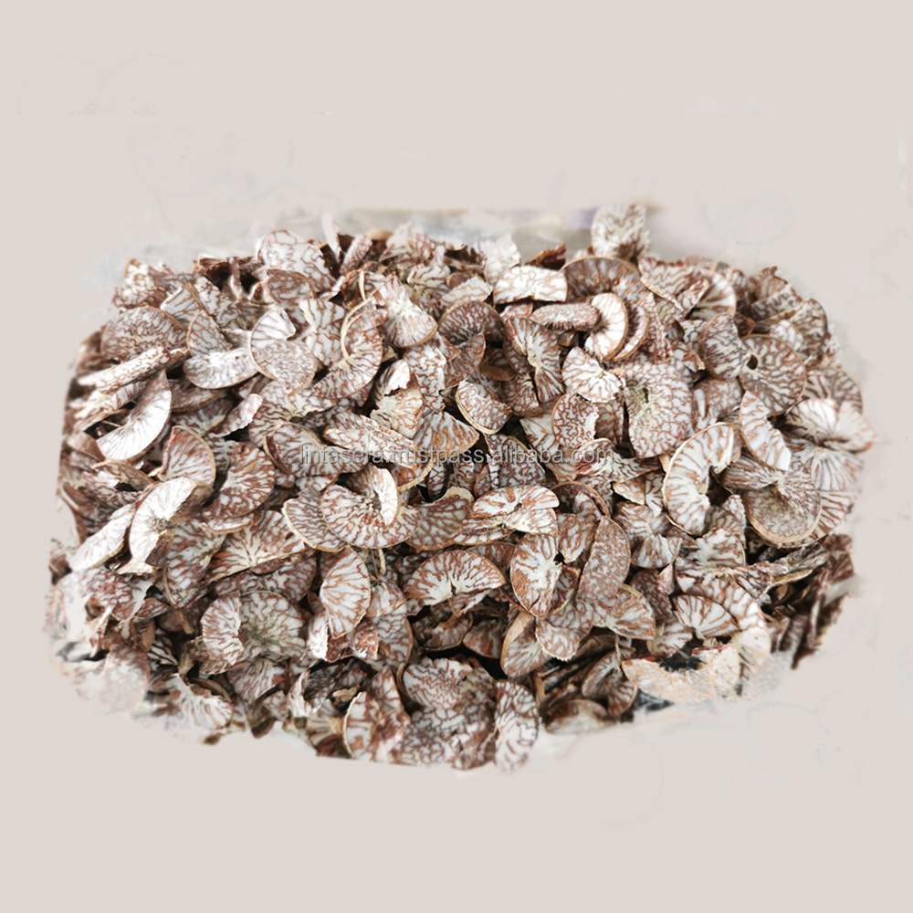 High Quality Betel Nut Dried Betel Nuts