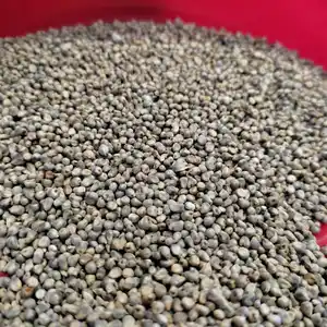 Green Millet Max Gold Style Color Origin Type Size Dried Grain With Full Size Best Rate For Green Millet In India