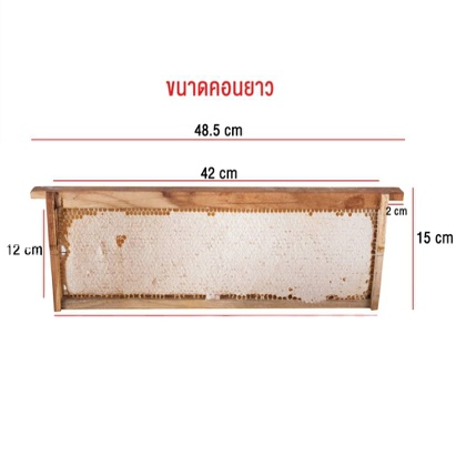 Honey Comb with Frame 1.5 KG
