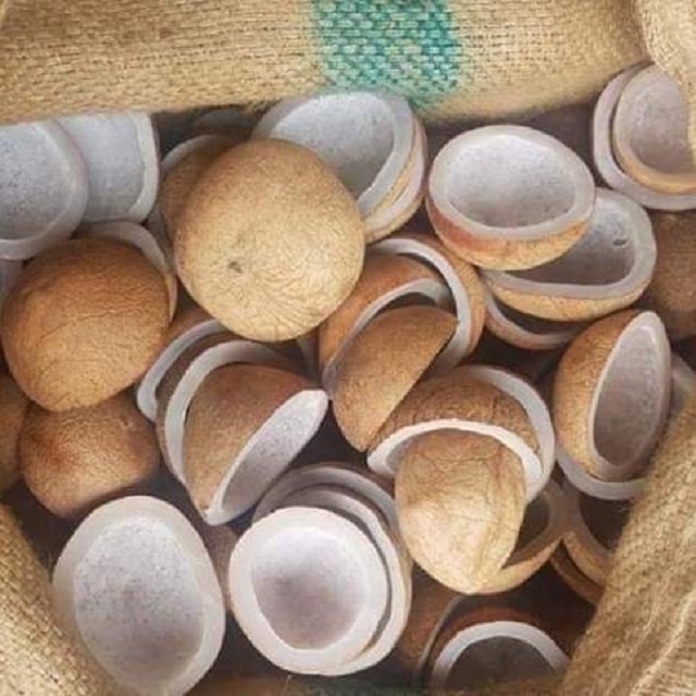 Хорошее качество, оптовая продажа, белая сушеная копра (4-9 см) из Индонезии со стандартом экспорта
