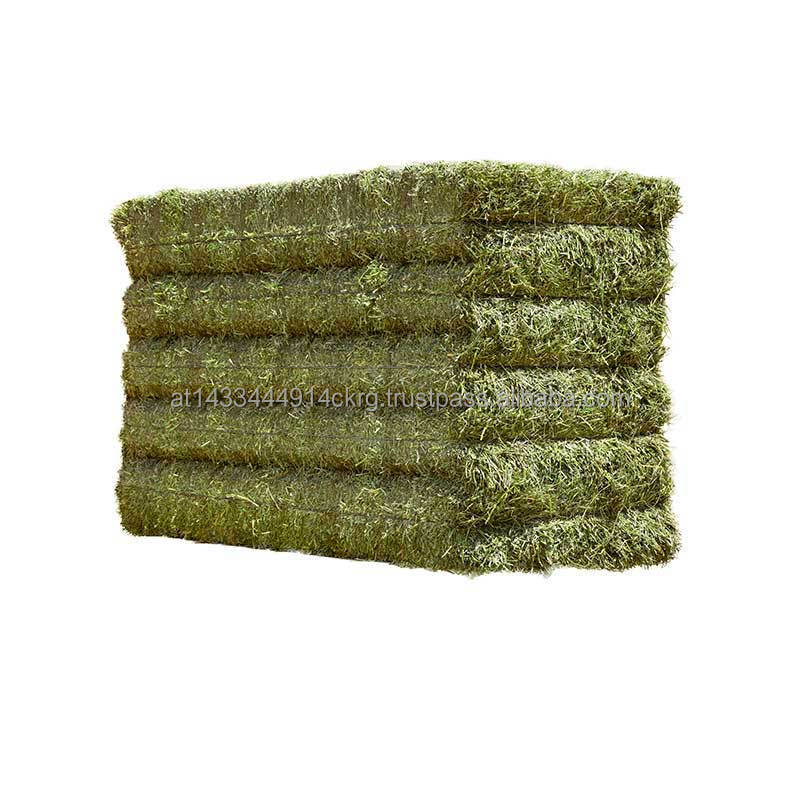 Cheap Top Quality Alfafa Hay for Animal Feeding Stuff Alfalfa ,hay/Timothy hay