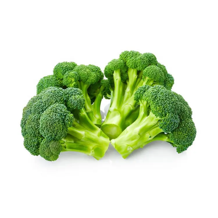 Fresh and good quality broccoli at competitive price