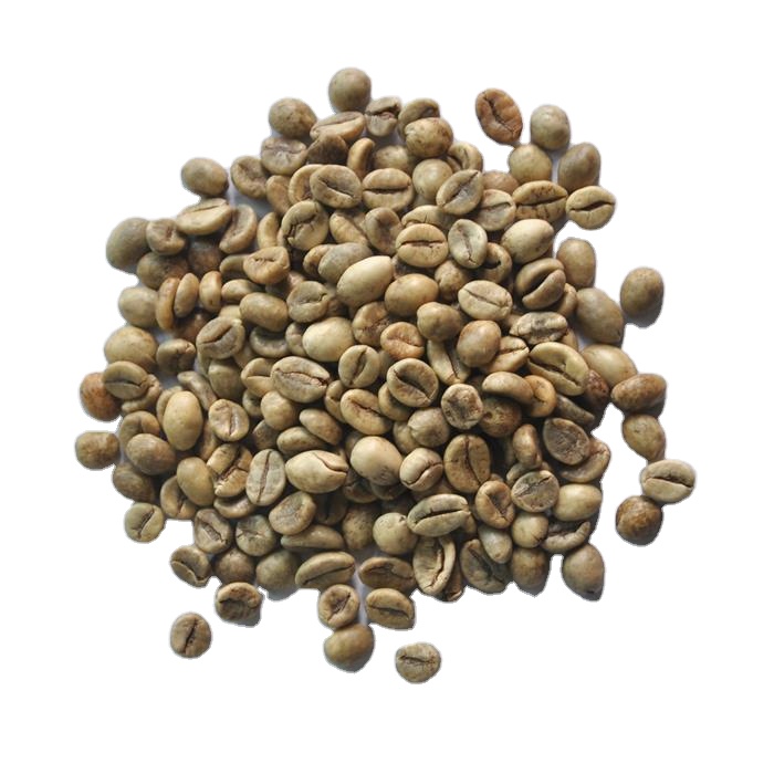 Вьетнамские зеленые кофейные зерна Robusta-высококачественный КОФЕ Robusta по хорошей цене, Вьетнам