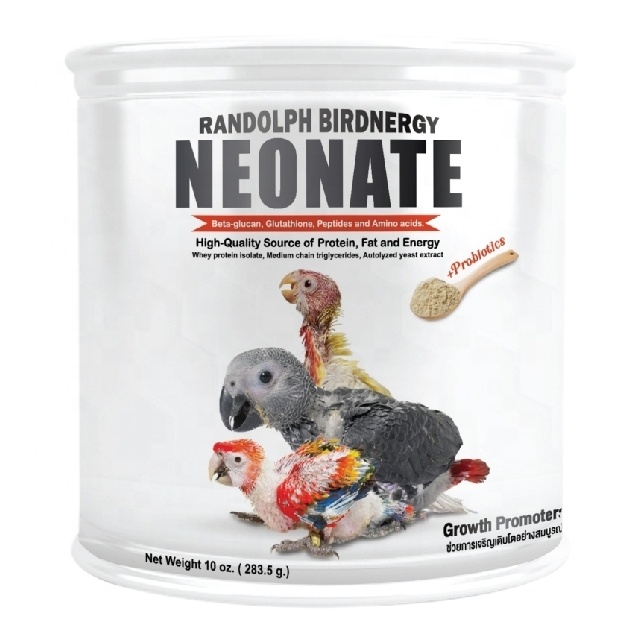 Randolph Birdnergy Neonate Complete Balanced Hand Feeding Food for Neonate and Juvenile Product From Thailand