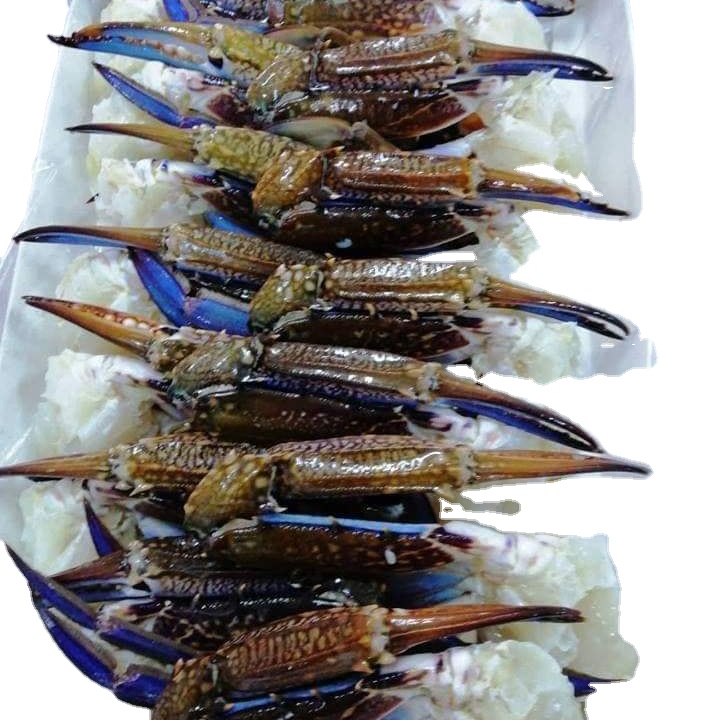 FROZEN BLUE SWIMMING CRAB