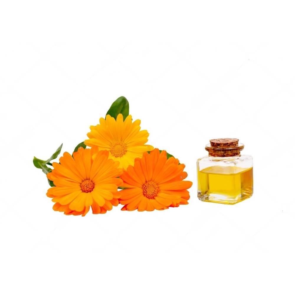 100 % Pure & Natural Oil Calendula Oil High on Demand Good Quality Natural Calendula Carrier at Best Price For Export