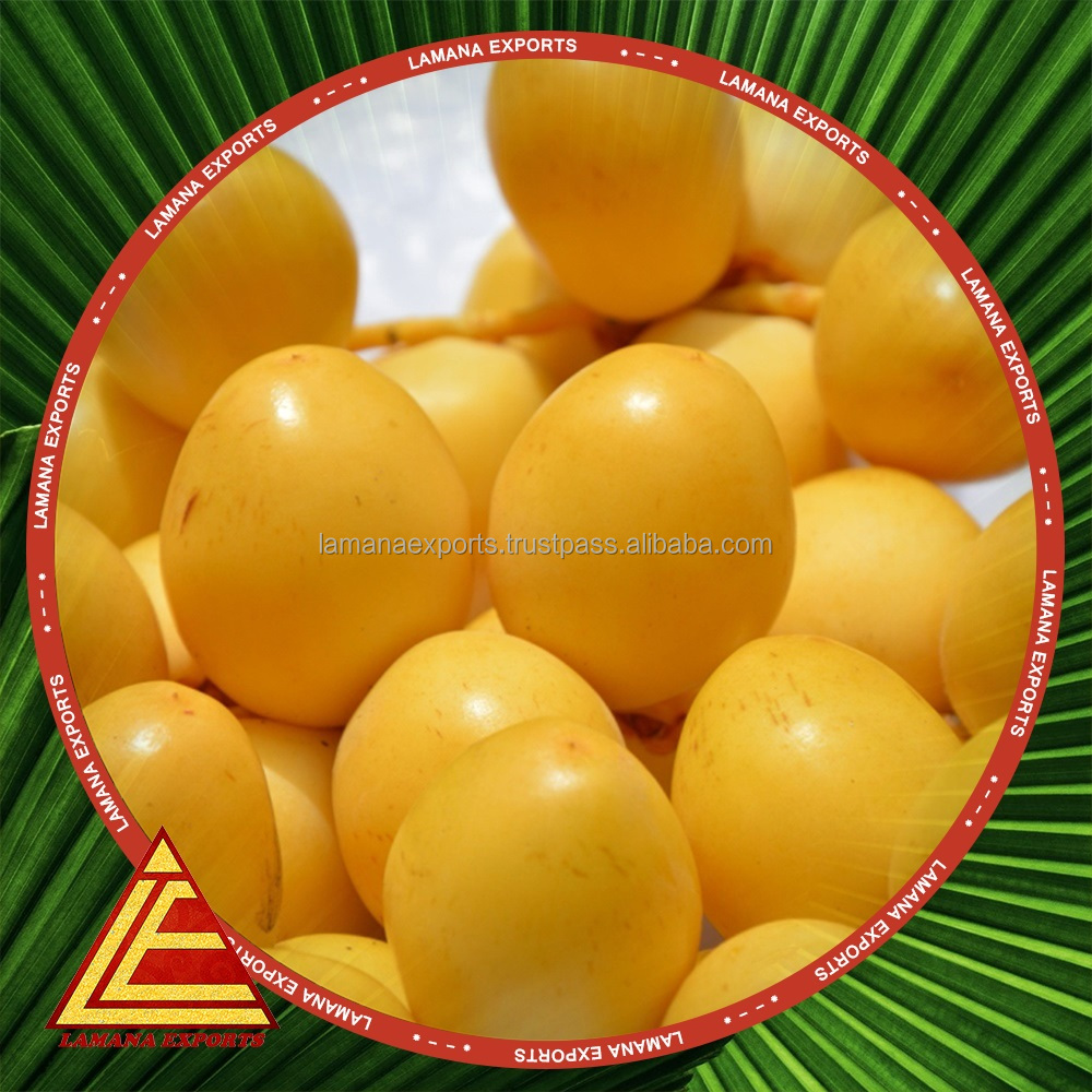 Barhi Dates / Palm Dates / Yellow Date Fruit 100 % fresh and Natural with best prices and discount