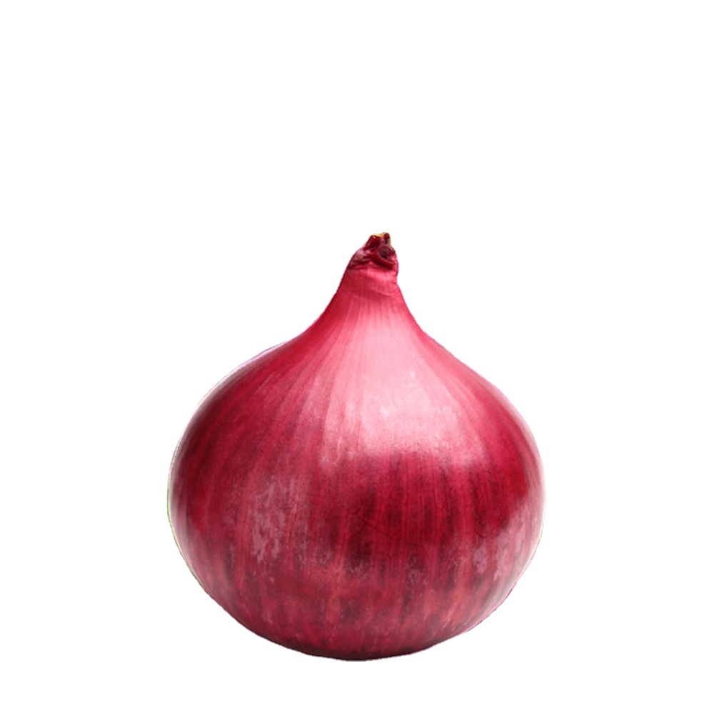 OP F1 Bombay Red Creole Red Peony Onion Production company for export in Bulk Packing pouch sachet tin packing in private label