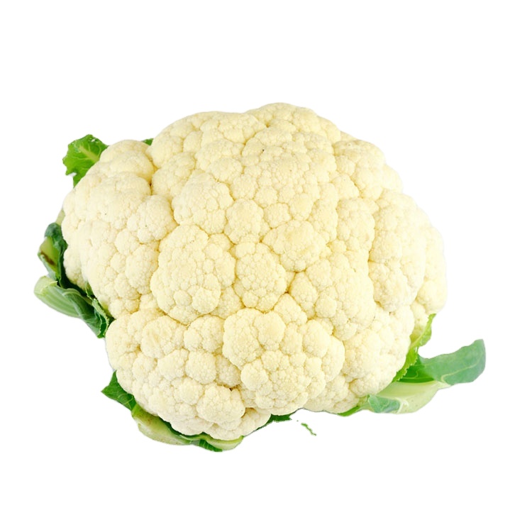 Вьетнамский сельскохозяйственный продукт, свежий Капучинатор, свежие продукты, низкая цена, органическое культивирование
