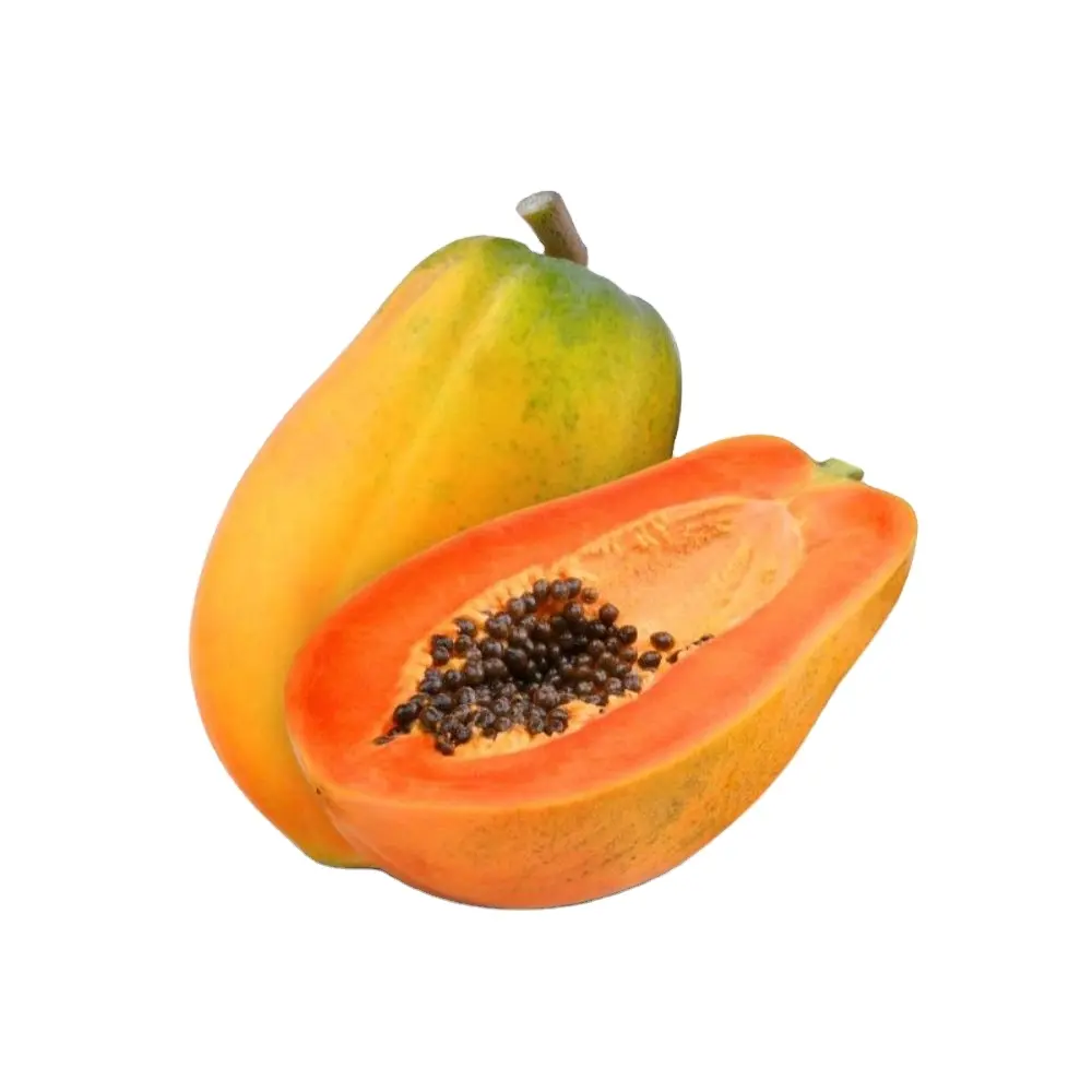 pinkish Red Pawpaw red glory f1 for export by sea