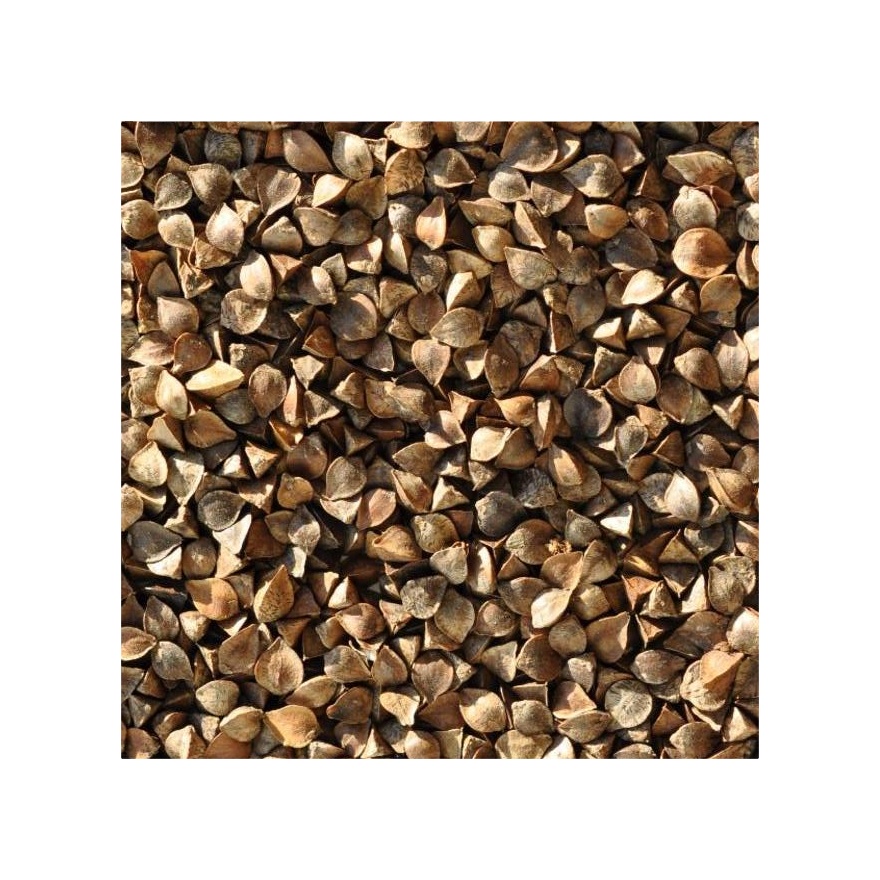100% ORGANIC BUCKWHEAT FOR EXPORT