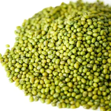 Factory Wholesale High Quality Green Mung Beans Best Quality Wholesale Dried Green Beans 5.0mm for Food