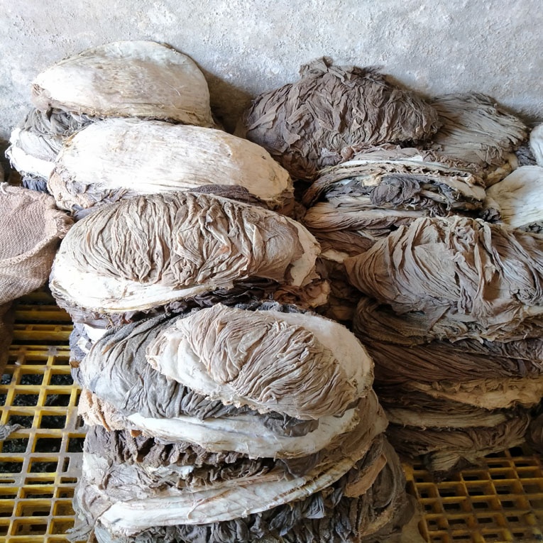 Продажа говядины OMASUM, оптовая продажа, соленая говядина OMASUM/мясо говядины, поставщик из Пакистана