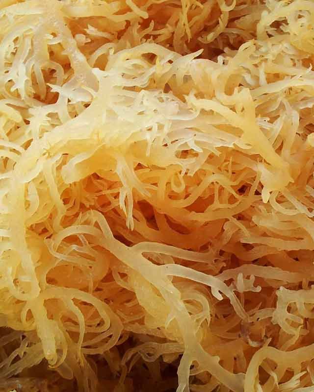 Ирландские Морепродукты с вьетнамским вкусом с высоким качеством, но по доступной цене. Подарок для вашего здоровья/Хана