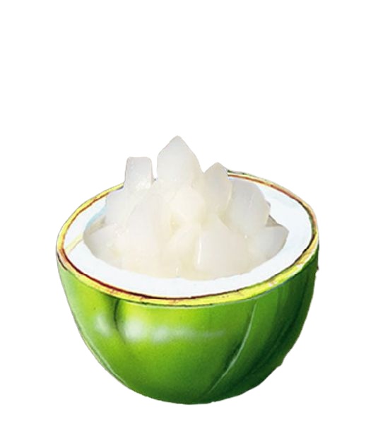 RAW NATA DE COCO VIETNAM/ COMPETITIVE PRICE/ Vivian Ha +84 33 88 20 462