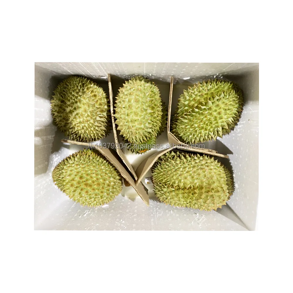 Premium Thai Fresh Durian