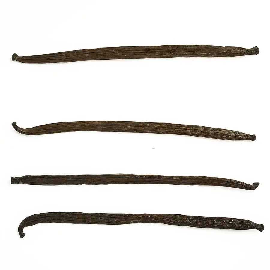 Madagascar vanilla beans / vanilla beans / vanilla beans with best price