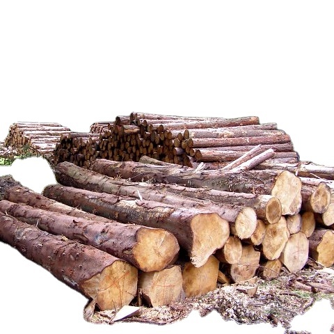 Good quality pine wood lumber 4x2 pine LVL timber for construction