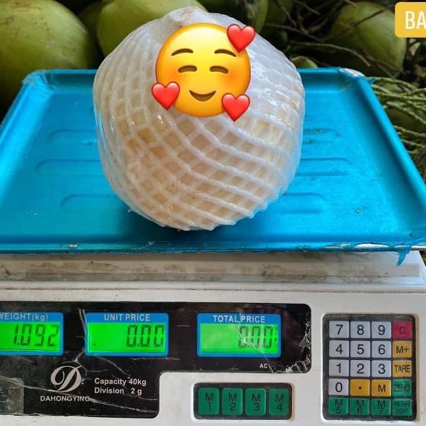 Белый свежий натуральный алмаз кокос Вьетнам