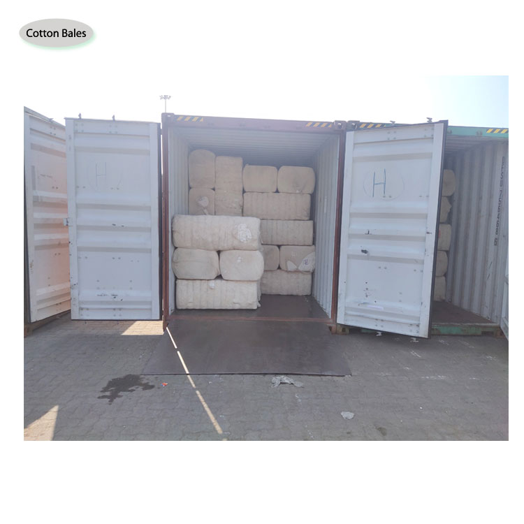 Top Sell on Bulk Quantity Filling Material 100% Pure Organic Cotton Bales for Sale