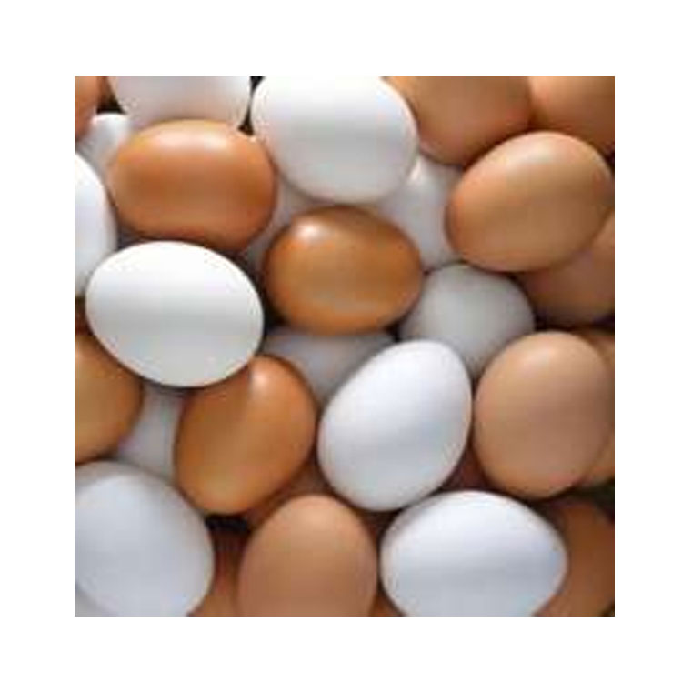 Wholesale Price Huge Sale on Fresh Table Eggs from Reputed Supplier