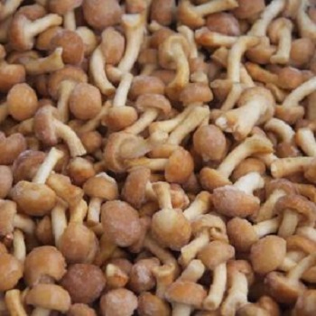Оптовая продажа Замороженных Грибов Nameko для продажи