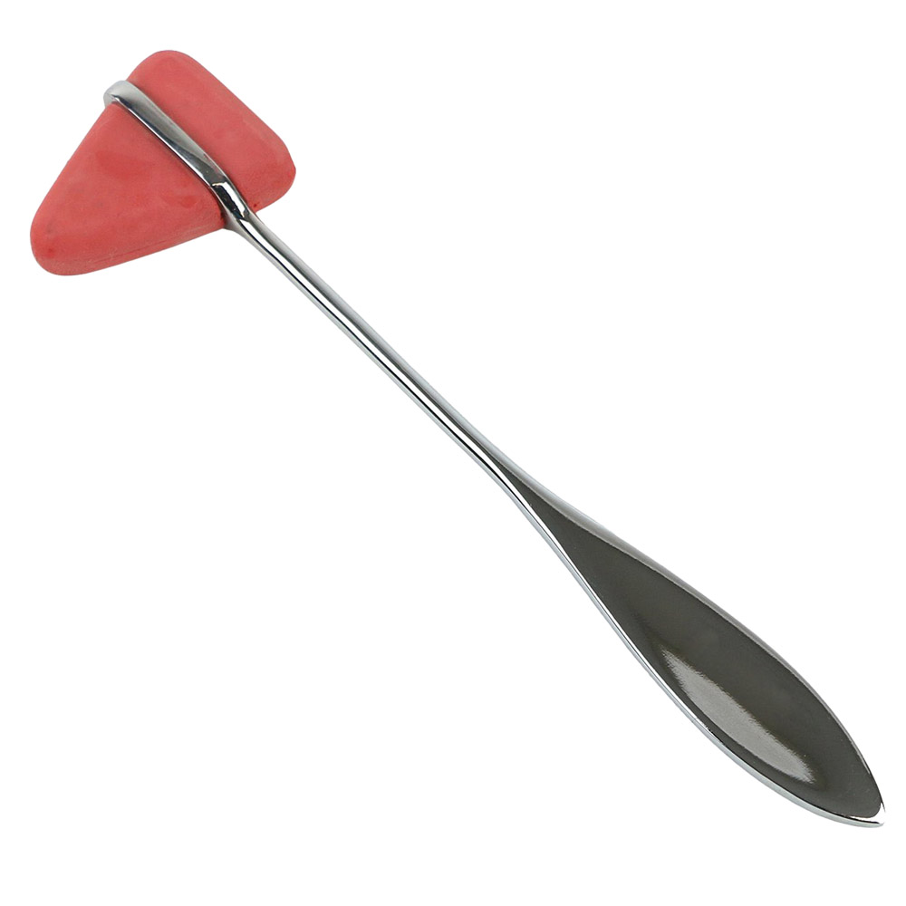 Medical Taylor Percussion Hammer with Purple Head