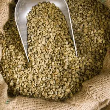 Top Quality Green Coffee Beans