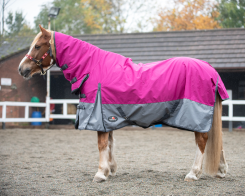 Light Medium Weight 100g Turnout Rug 600D Standard Combo Waterproof Winter Rugs